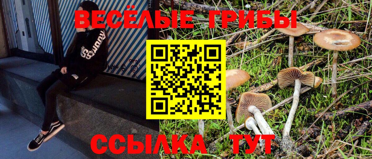Глазов  купить наркоту  Вход с VPN  Псилоцибиновые грибы GOLDEN TEACHER 